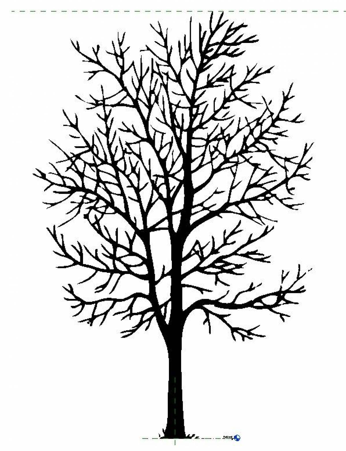 Wild tree without leaves coloring book for children