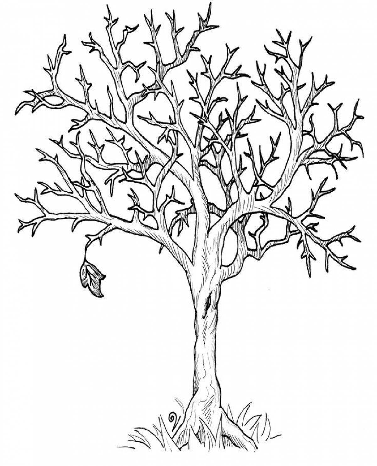 Living tree without leaves coloring pages for kids