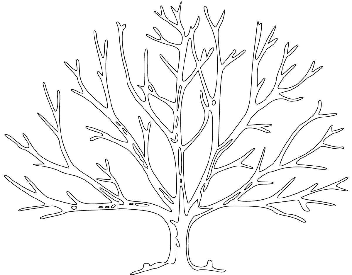 Живое дерево без листьев раскраска для детей