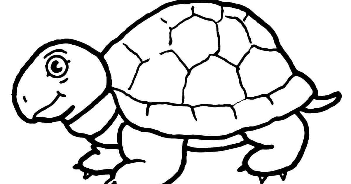 Яркая черепаха-раскраска для детей