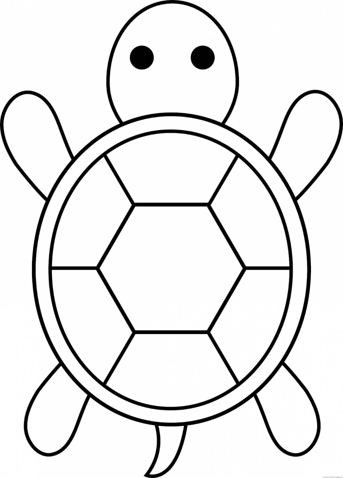 Fun turtle coloring book for kids