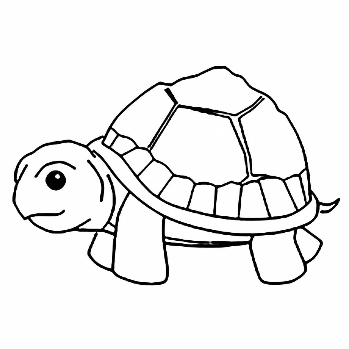 Magic turtle coloring book for kids