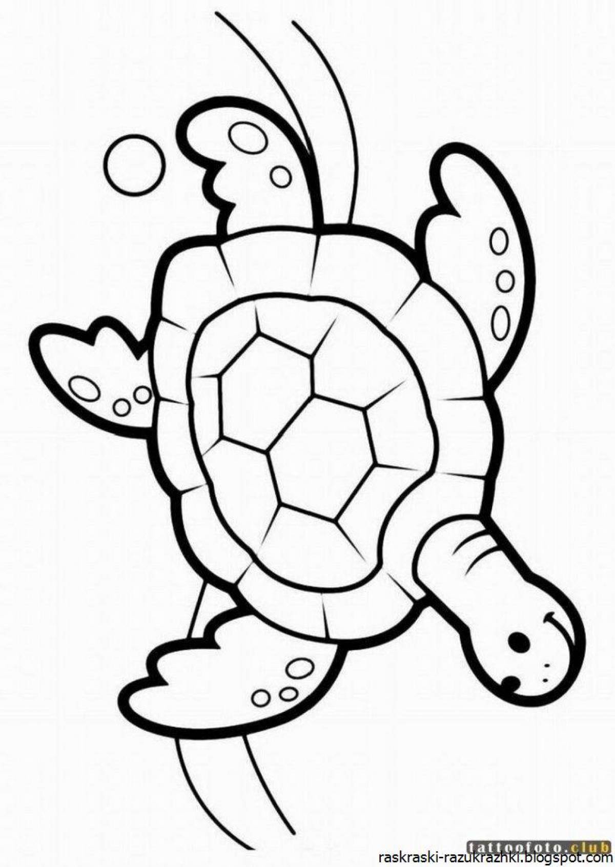 Turtle for kids #14