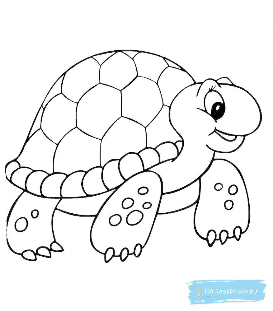 Черепаха для детей #18