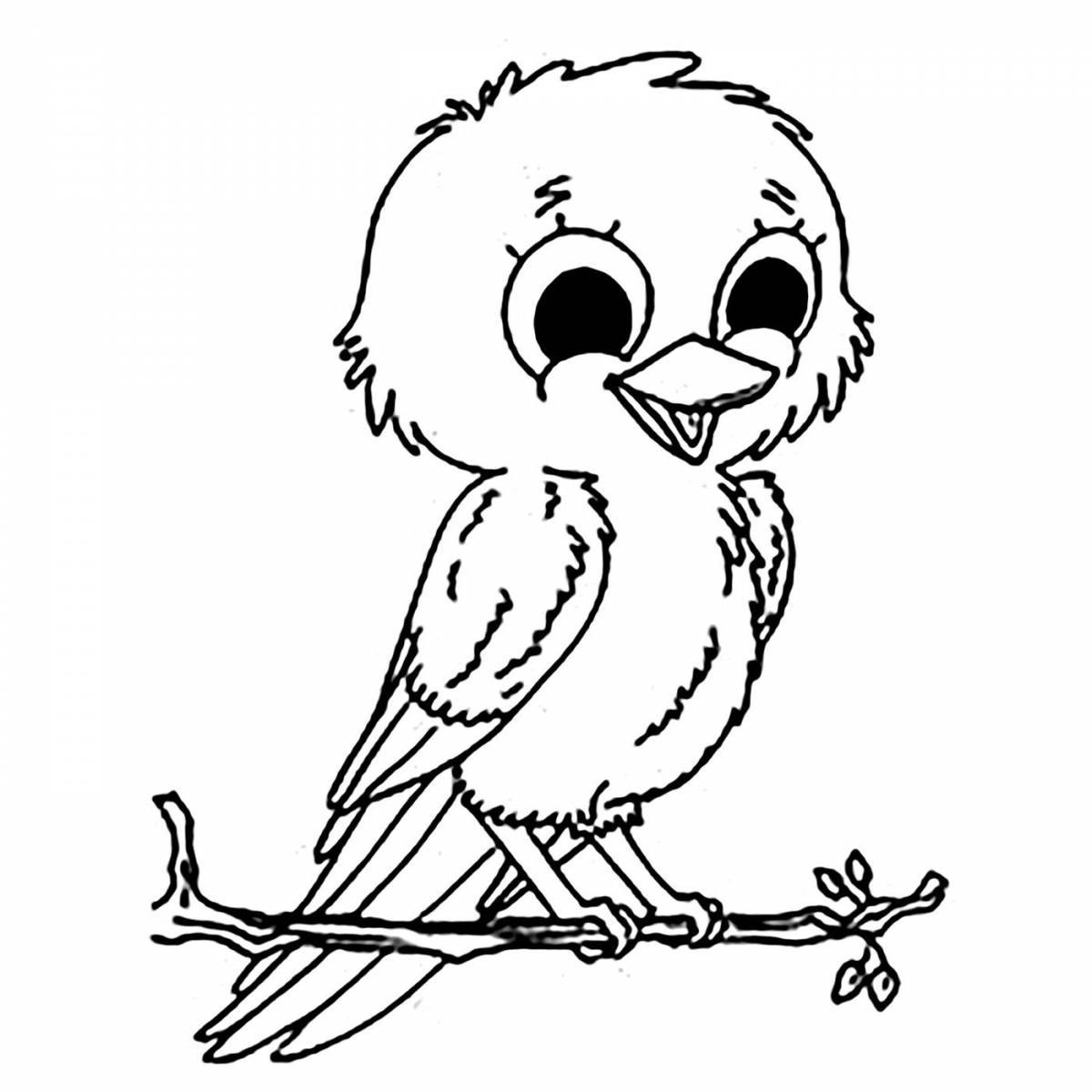 Beautiful bird coloring pages for kids