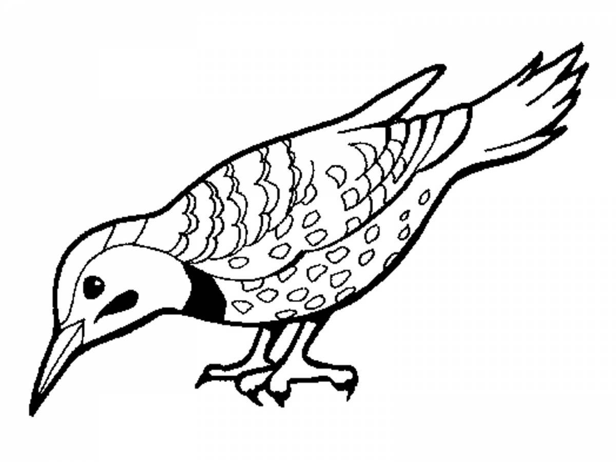 Spicy bird coloring pages for kids
