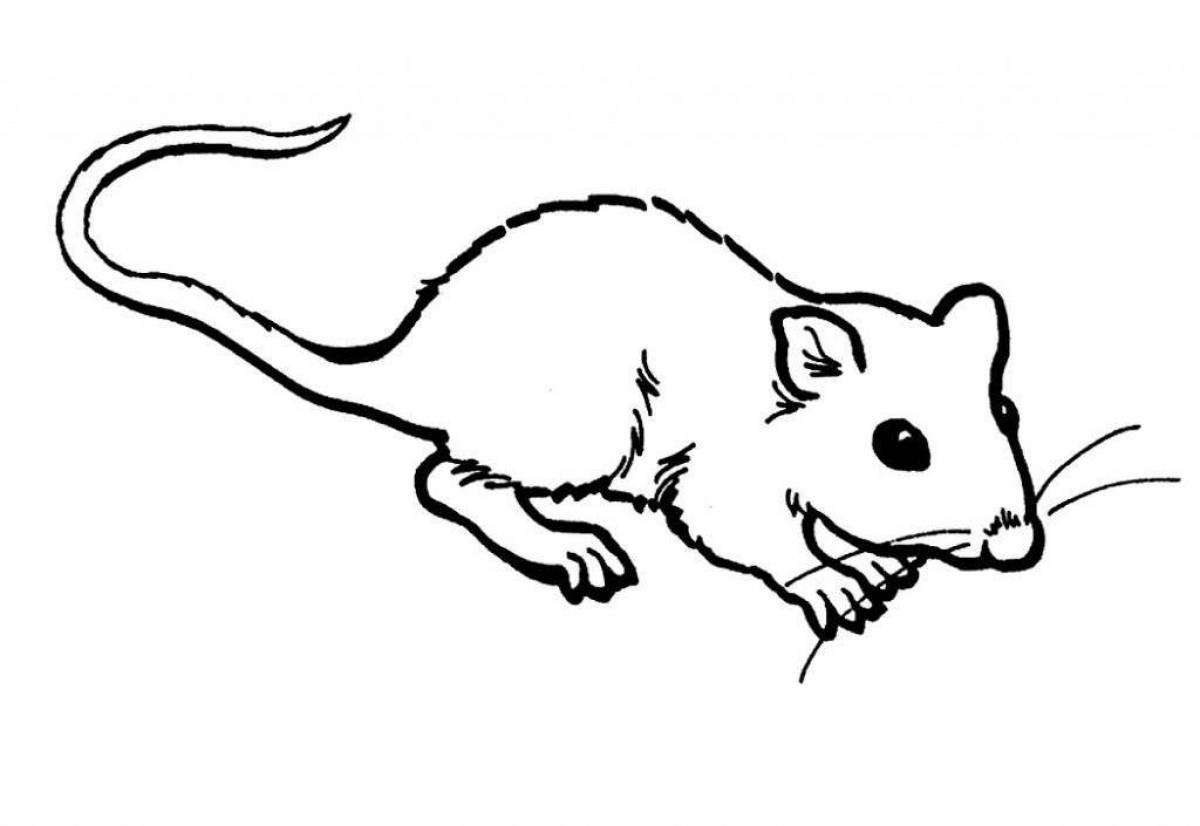 Colorful mouse coloring page for kids