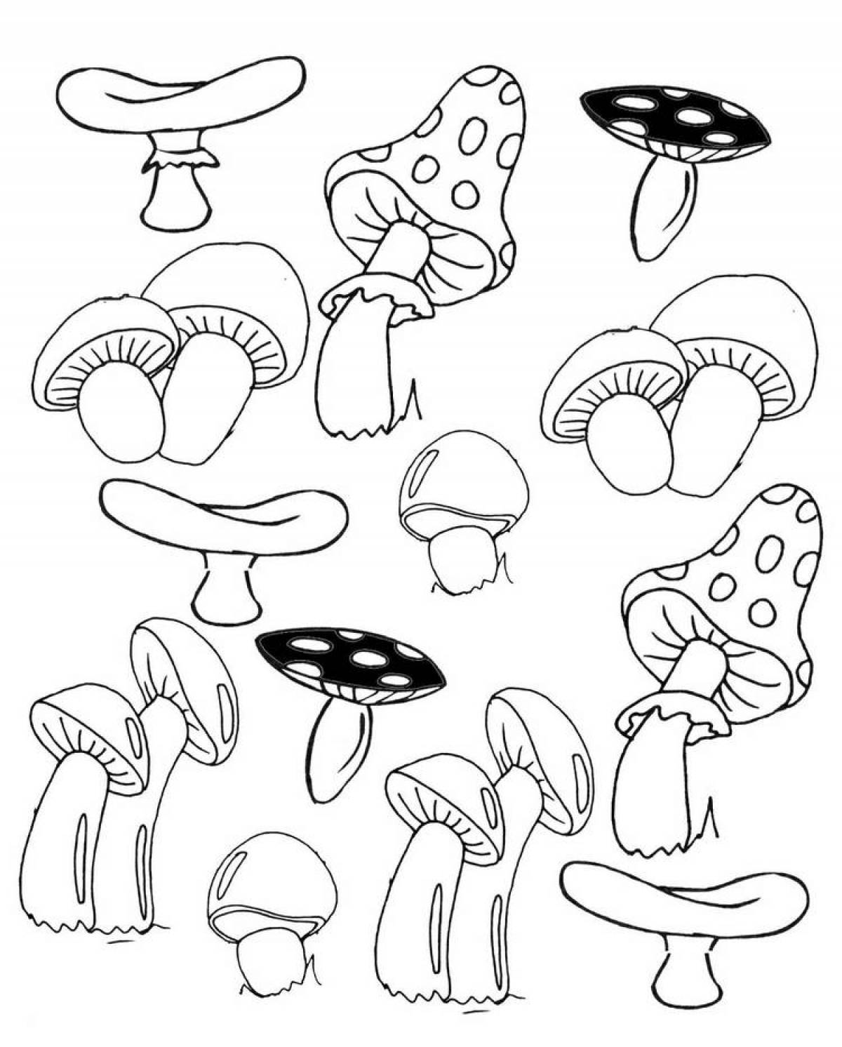 Веселая раскраска грибов для детей