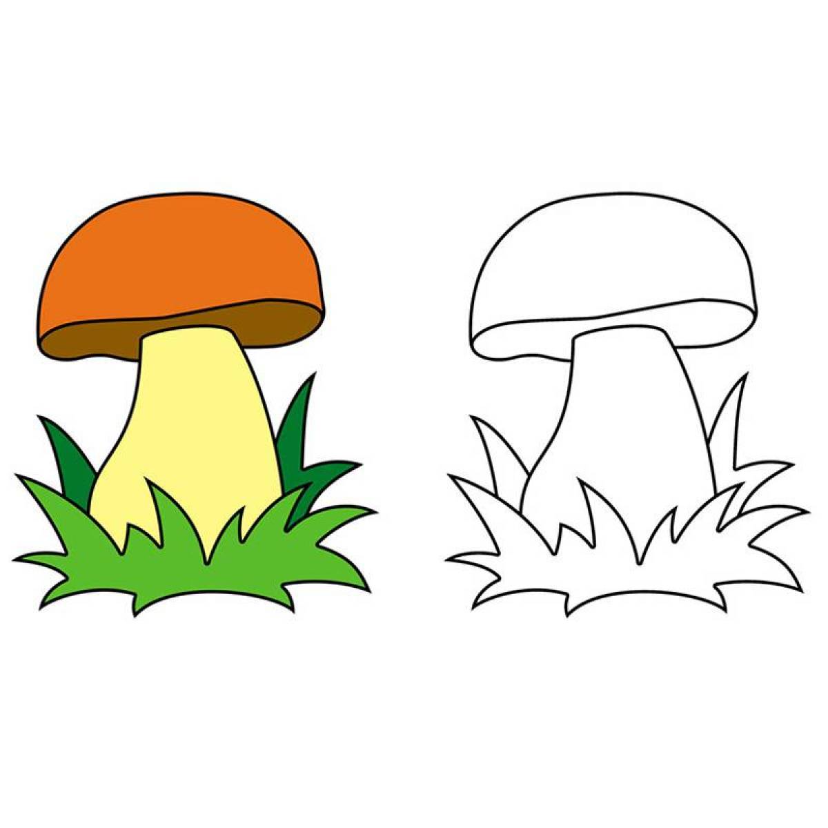 Fun mushroom coloring book for kids