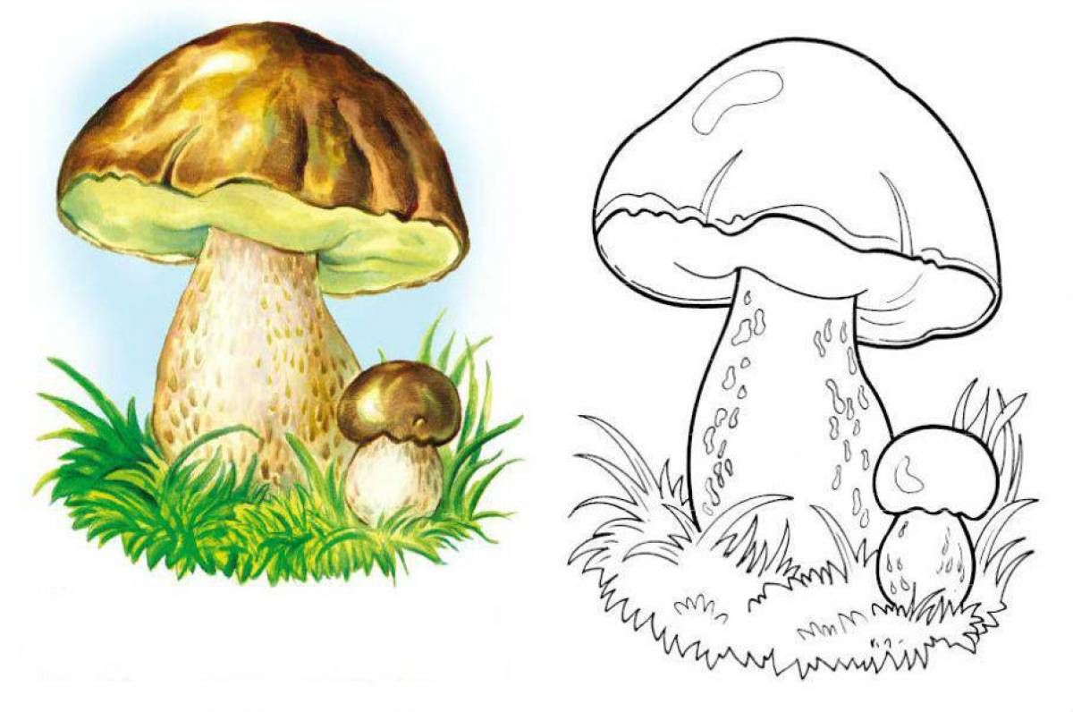 Великолепная раскраска грибов для детей