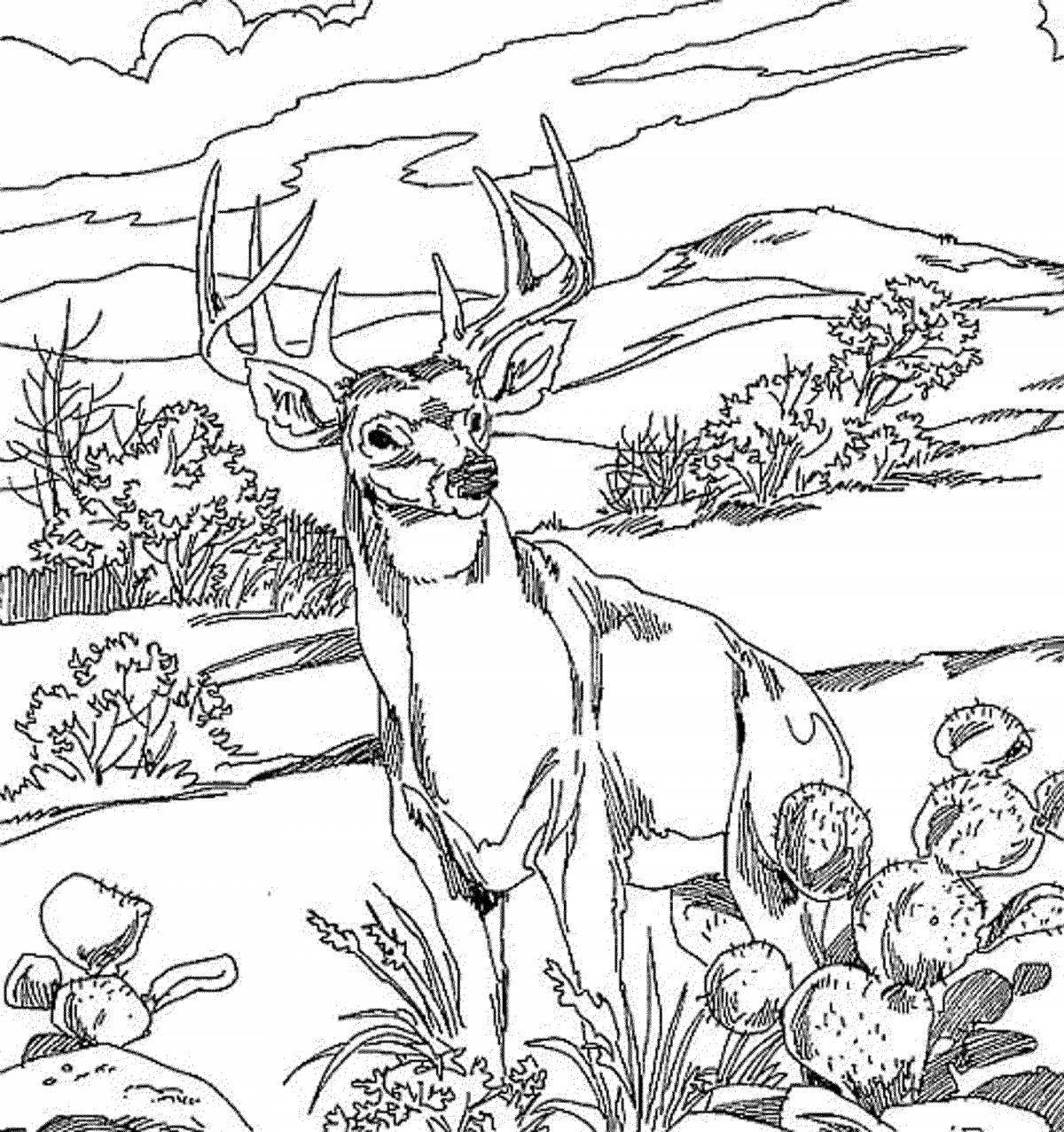 Cute deer coloring book for girls