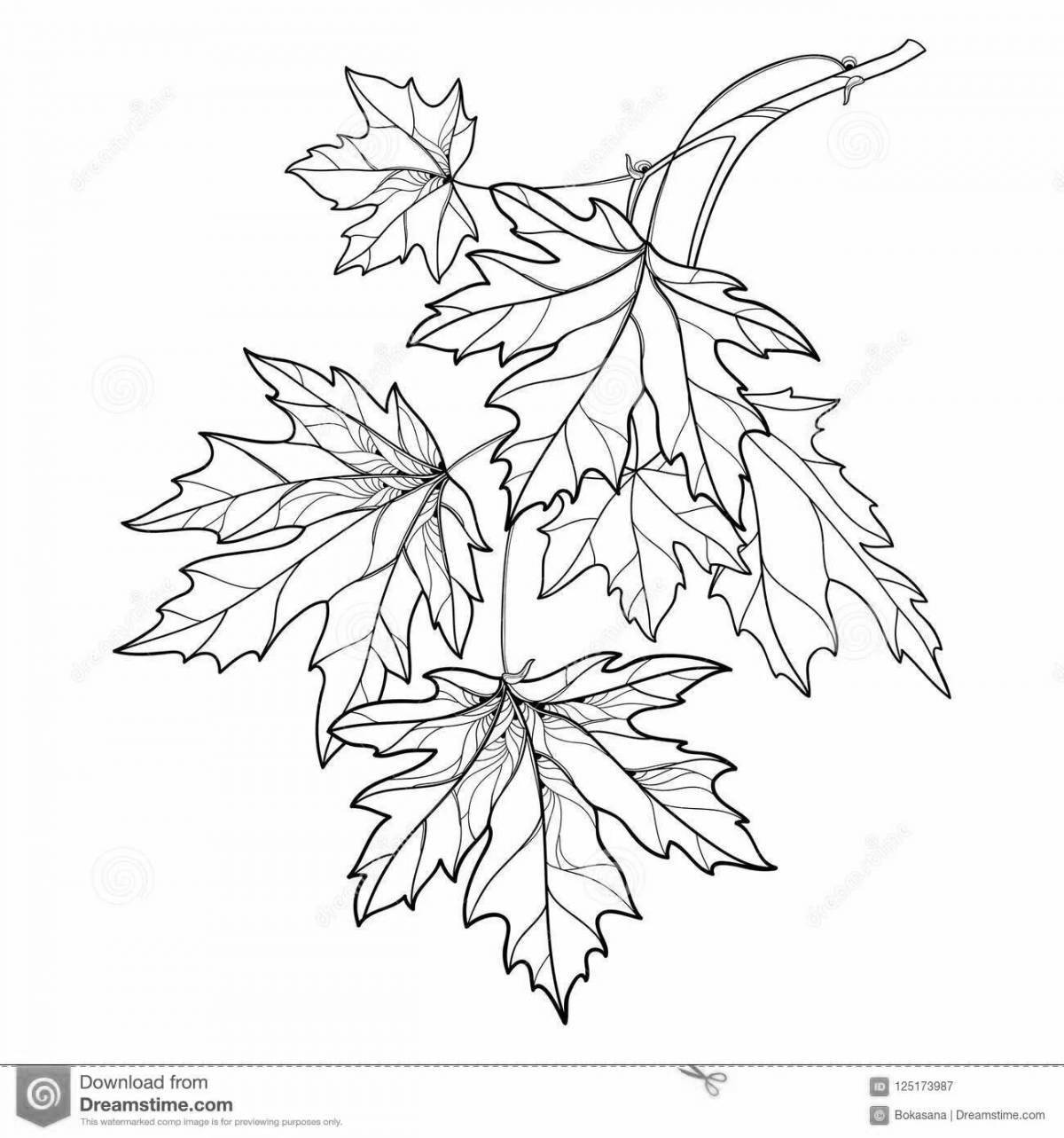 Live coloring leaves on a branch
