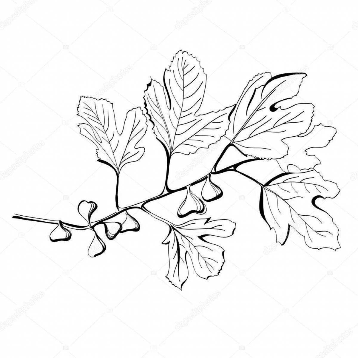 Majestic coloring leaves on a branch