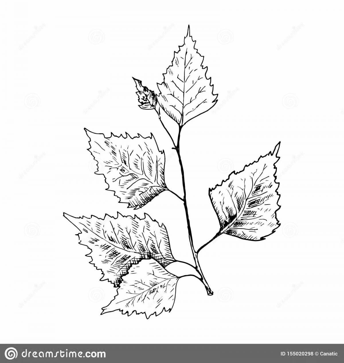 Colorful coloring leaves on a branch