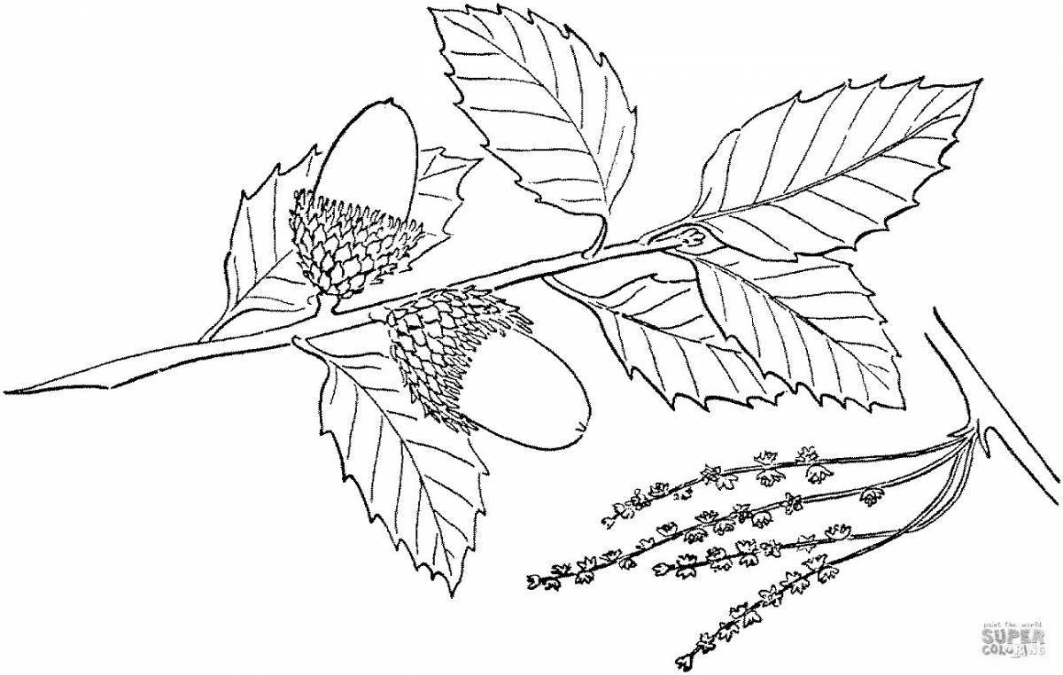 Delightful coloring leaves on a branch