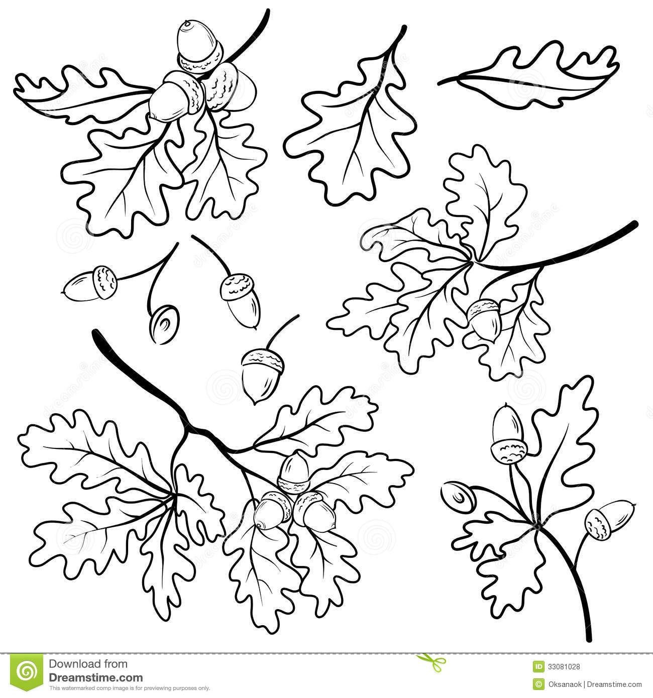 Leaves on branch #8