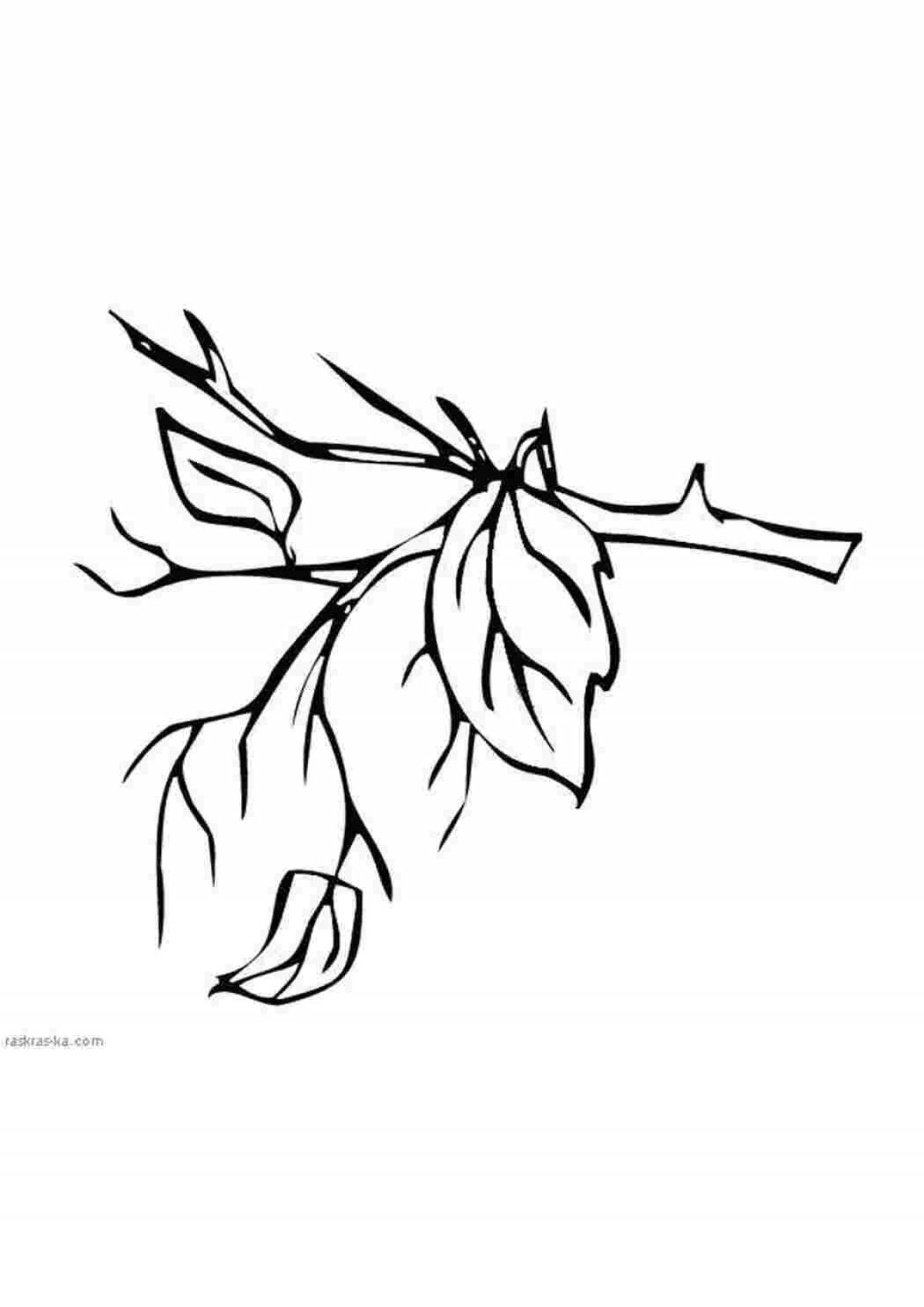 Leaves on branch #10