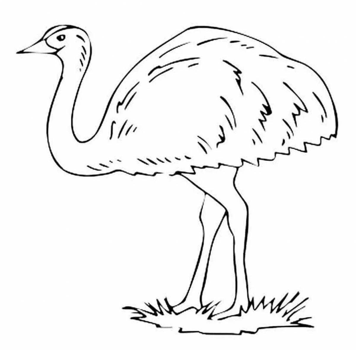 Colorful emu coloring book for kids