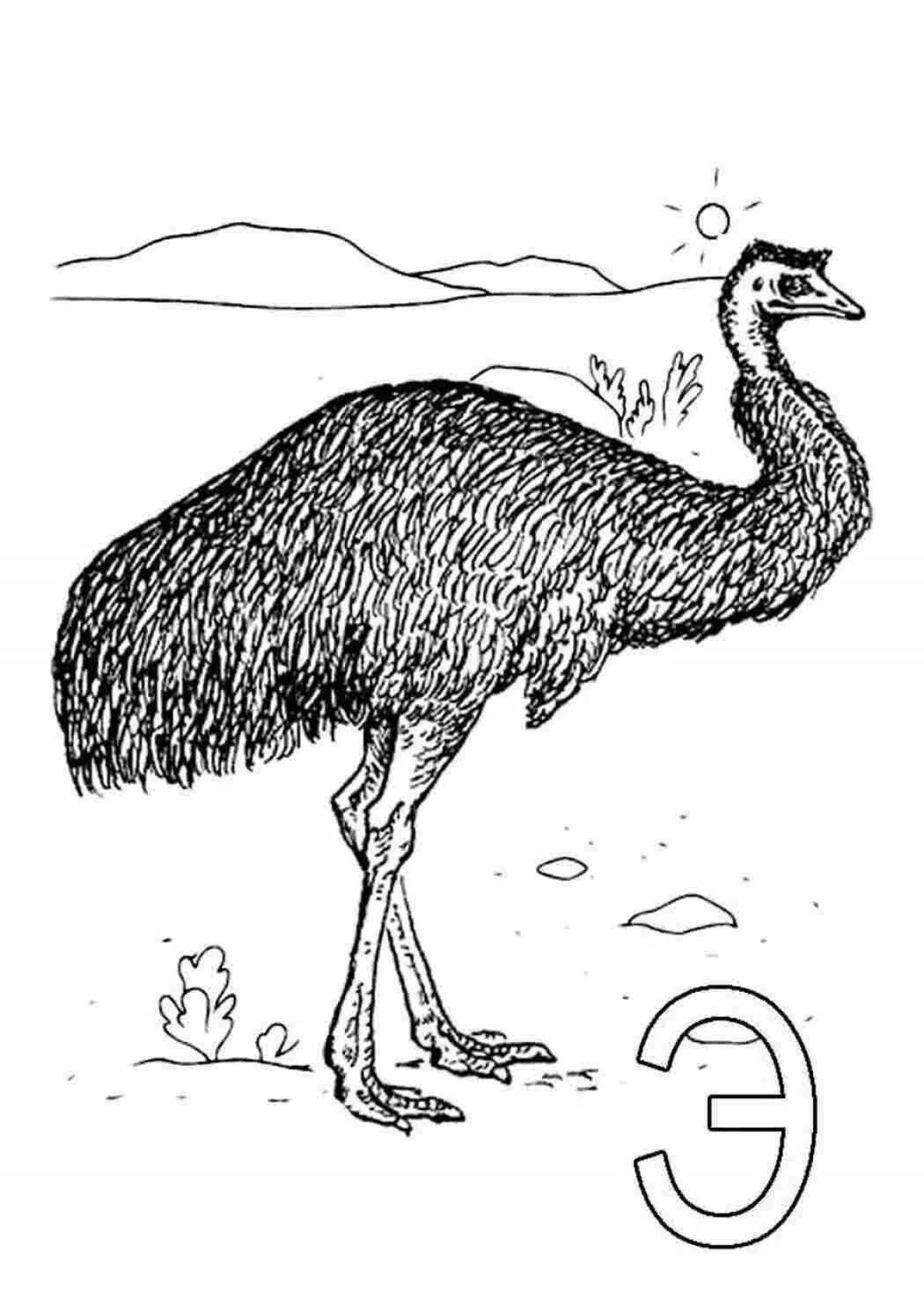 Fun emu coloring book for kids