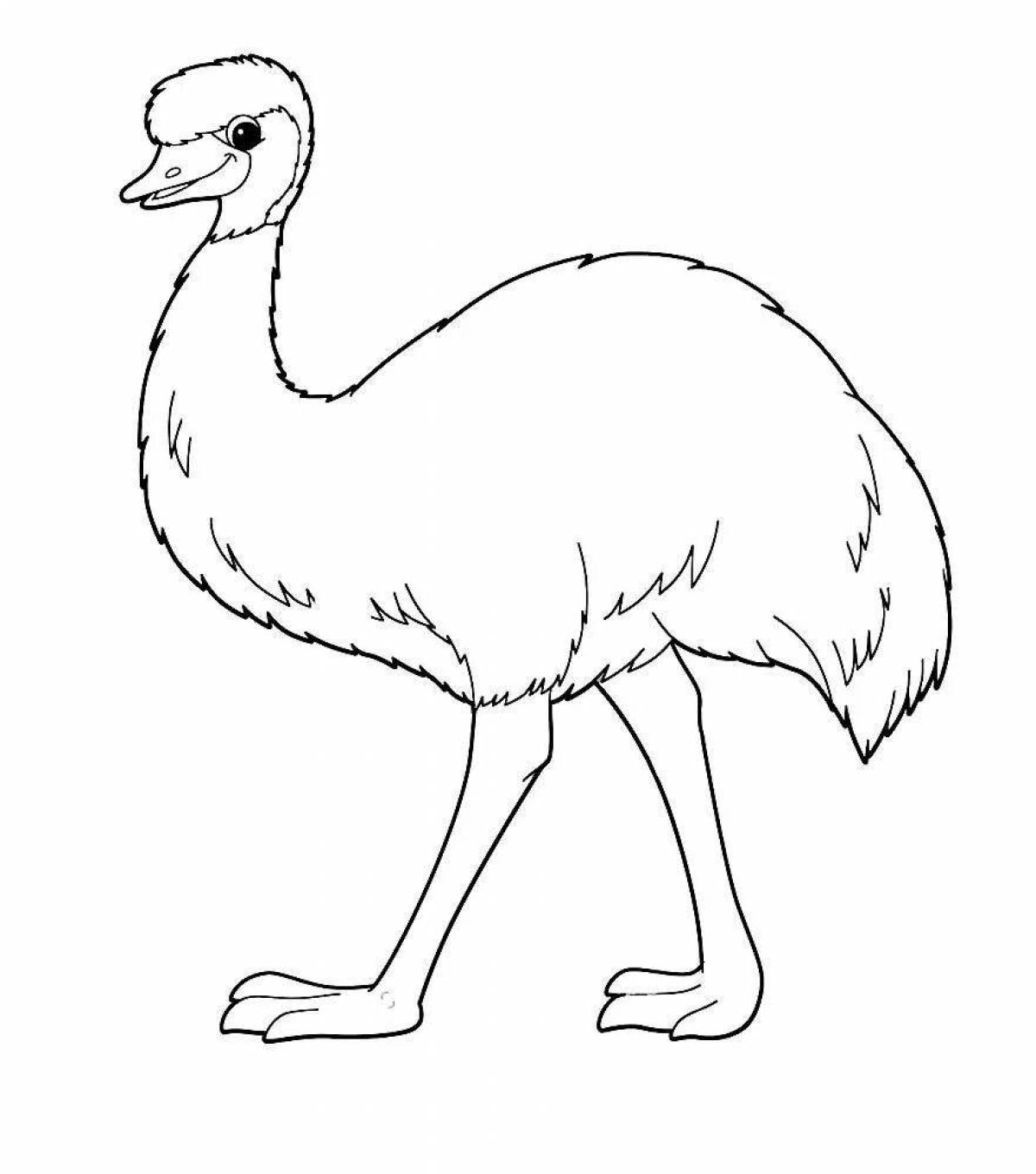 Fancy emu coloring book for kids