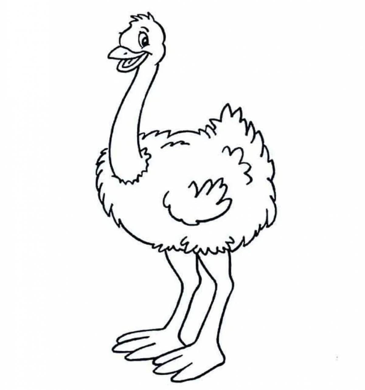 Emu for kids #11