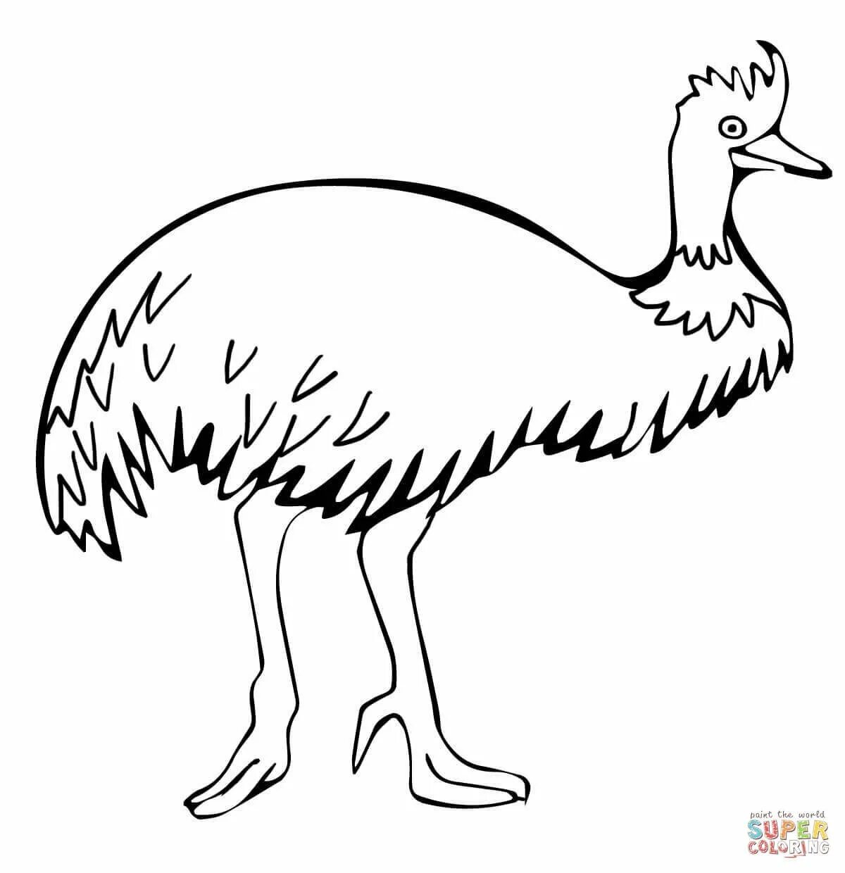 Emu for kids #12