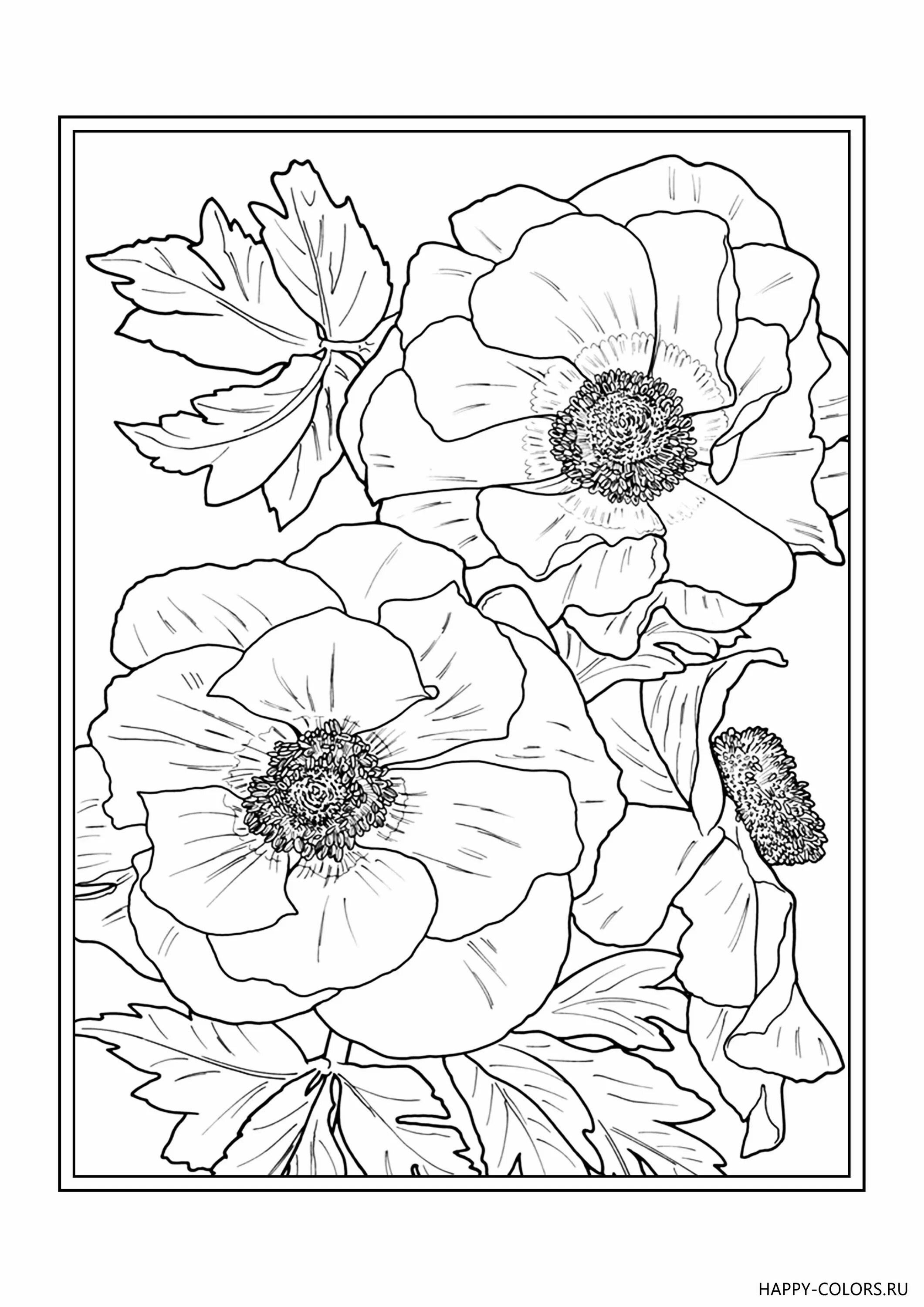 Unique watercolor coloring book for adults