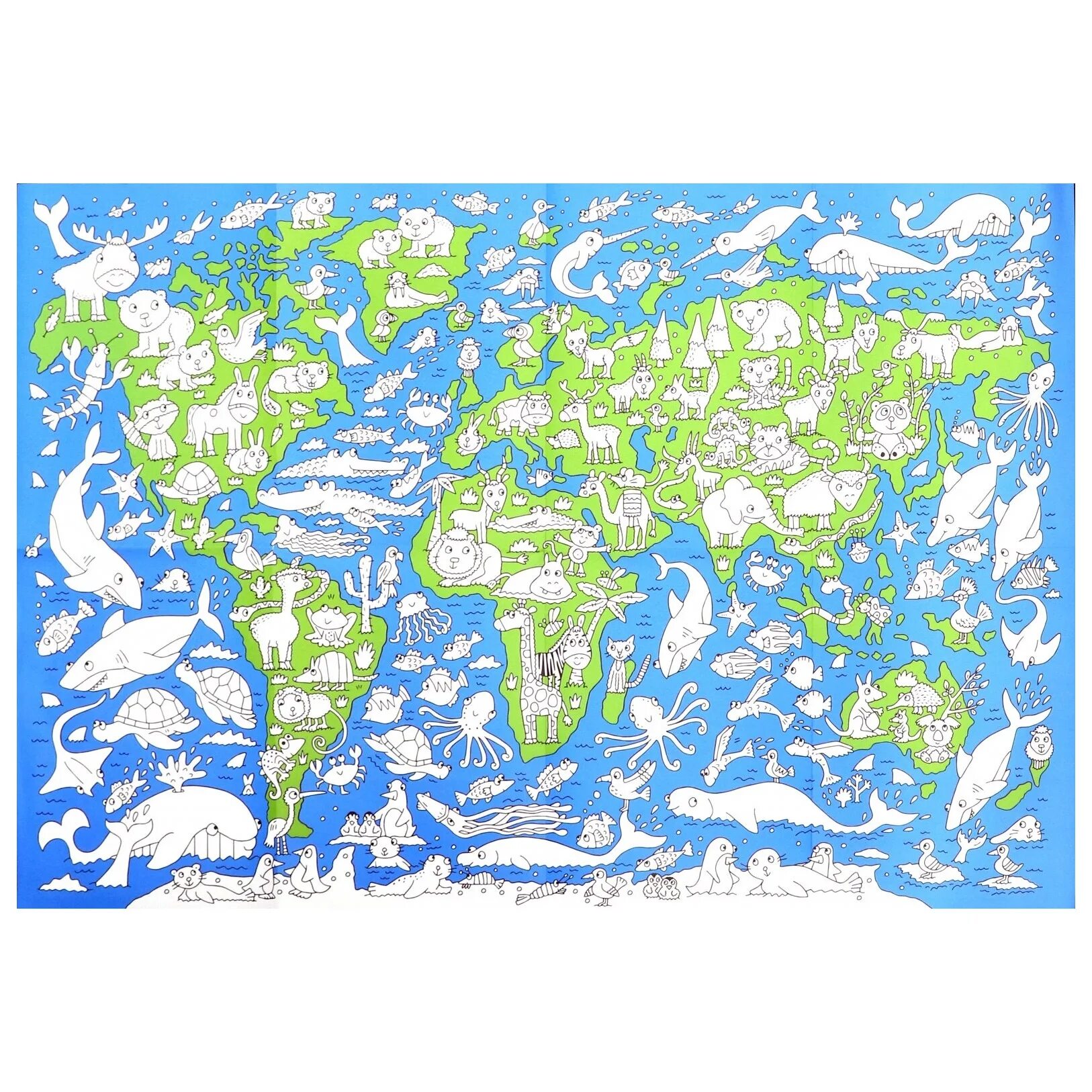 Giant map of the world #15