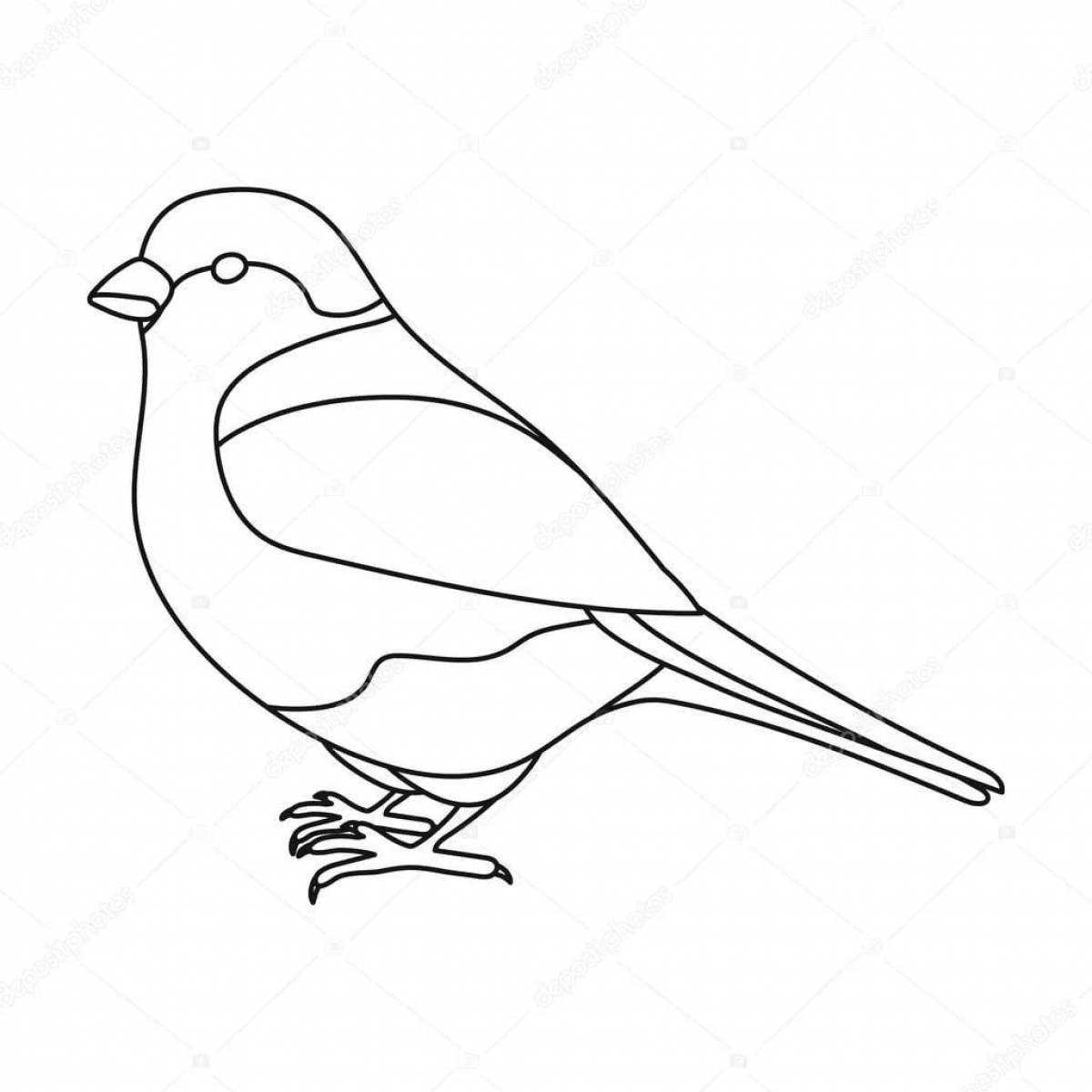 Оживленная птица-снегирь раскраска