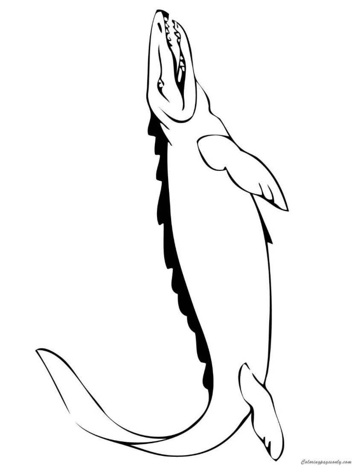 Colorful mosasaurus coloring page for kids