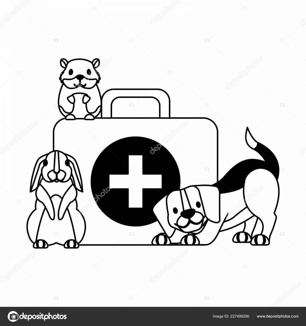 Playful animal veterinarian
