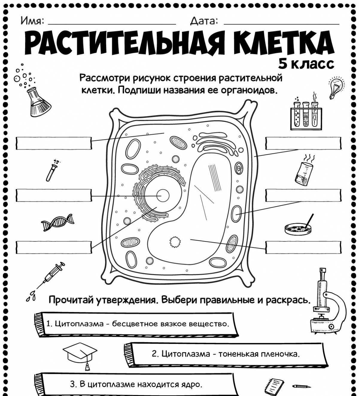 Красочная страница раскраски структуры клеток растений