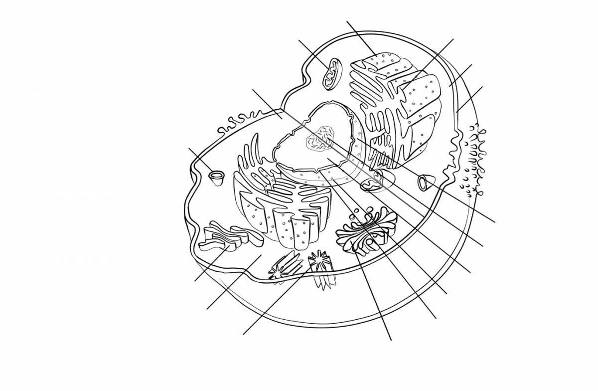 Fascinating plant cell structure coloring page