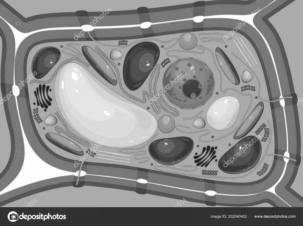 Coloring page of the dynamic structure of plant cells