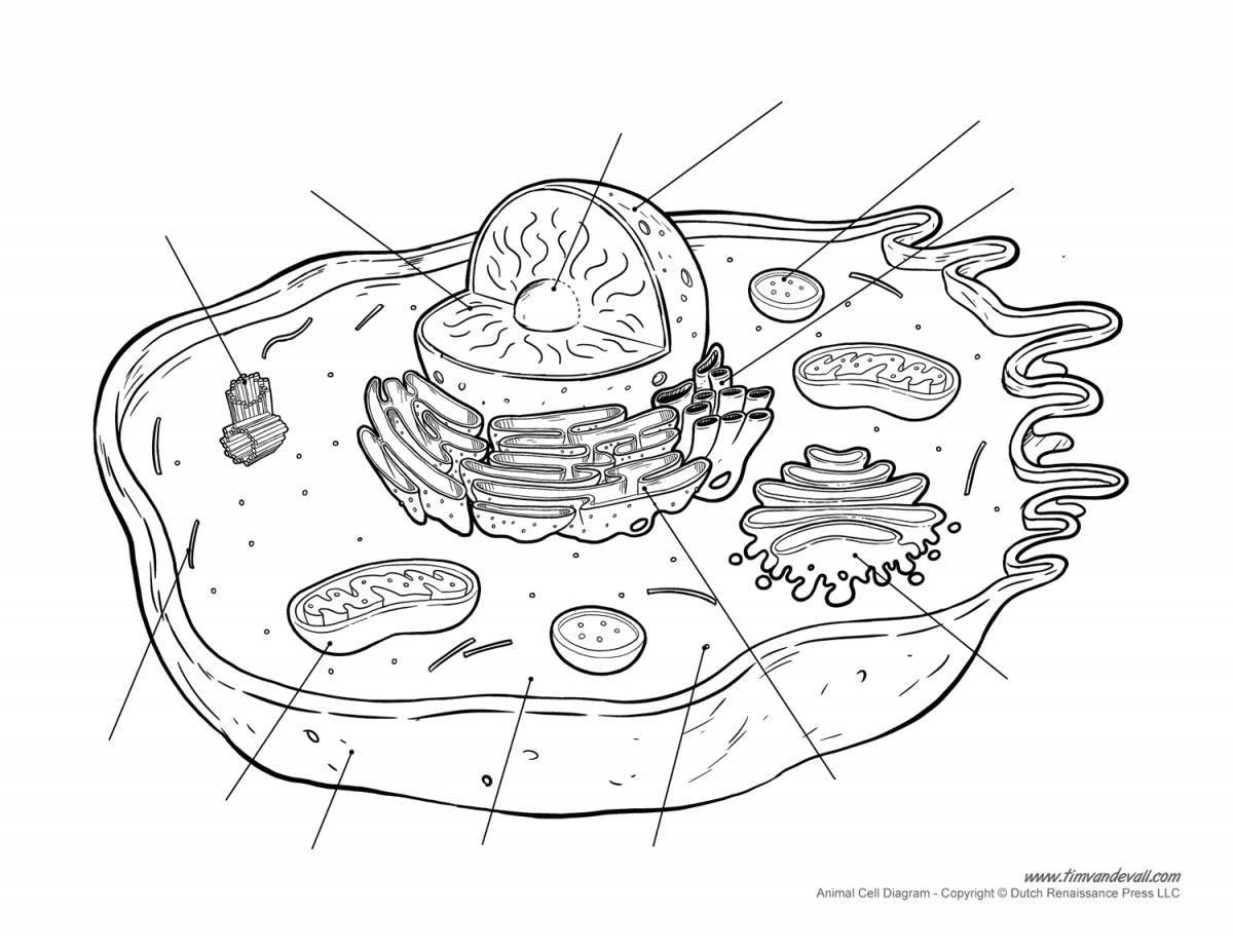 Playful plant cell structure coloring page