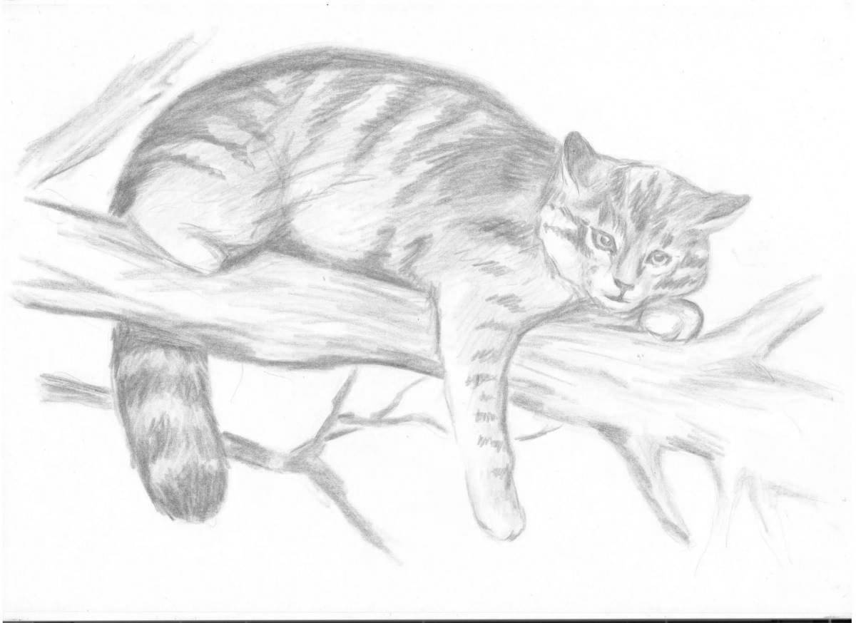 Милая кавказская лесная кошка раскраска