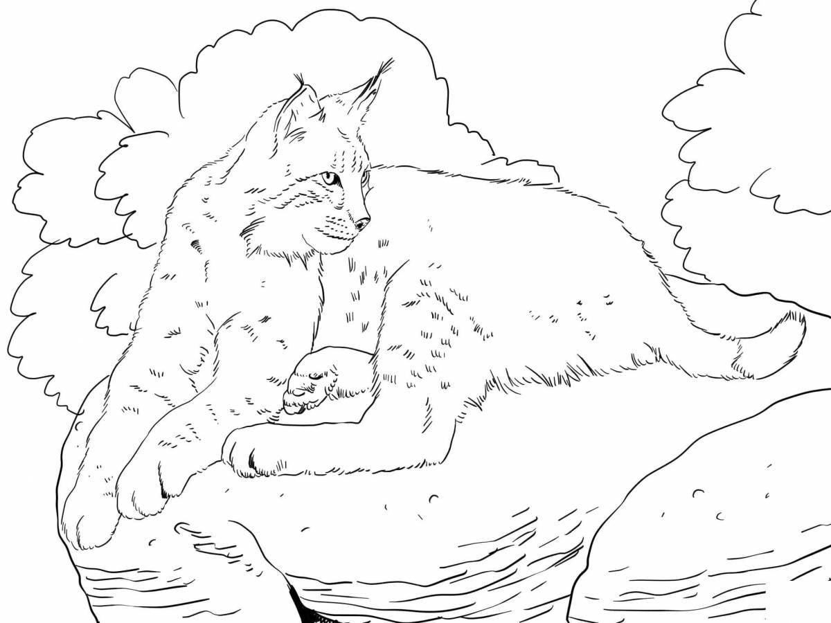 Раскраска бдительная кавказская лесная кошка