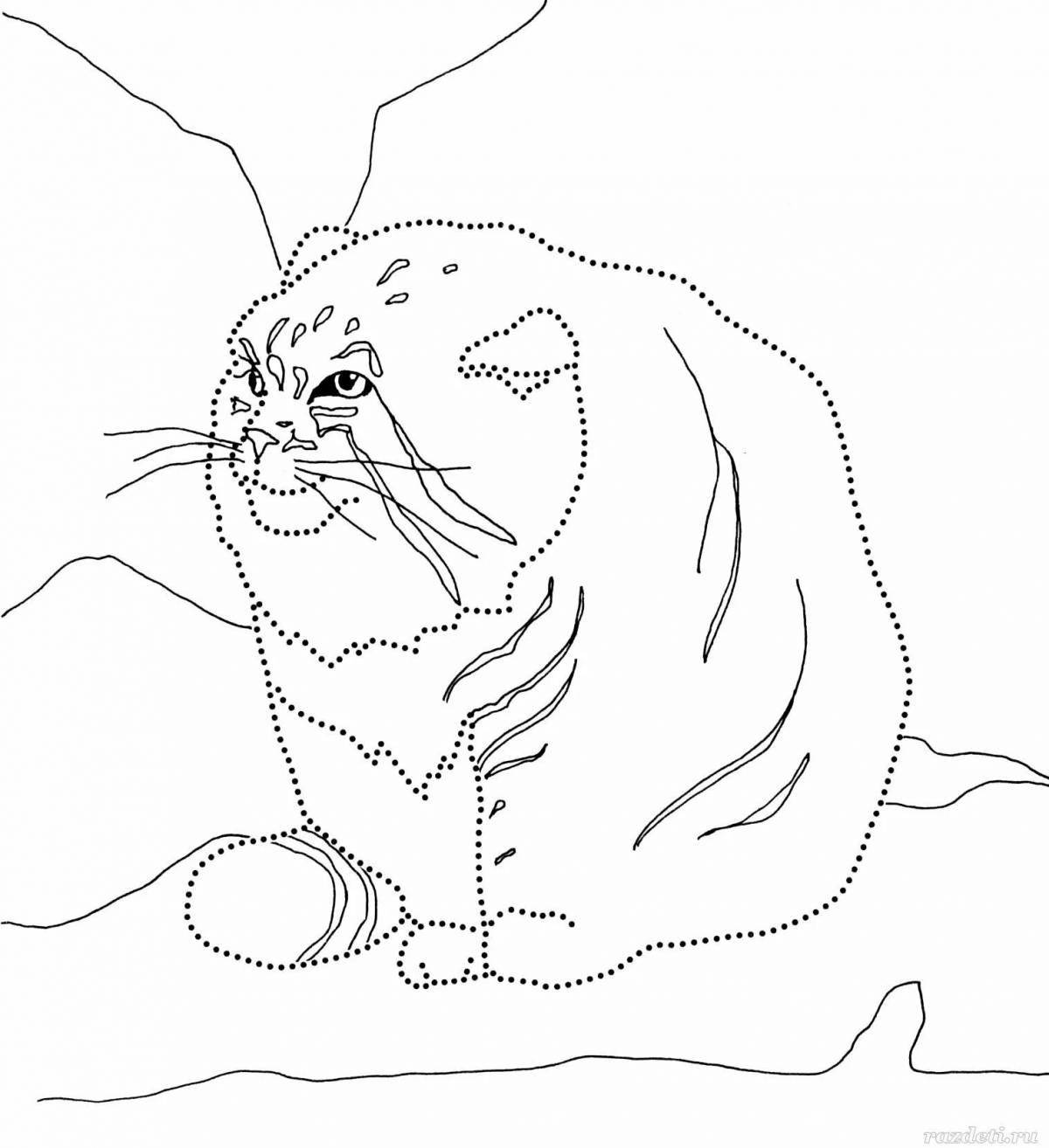 Coloring page charming caucasian forest cat