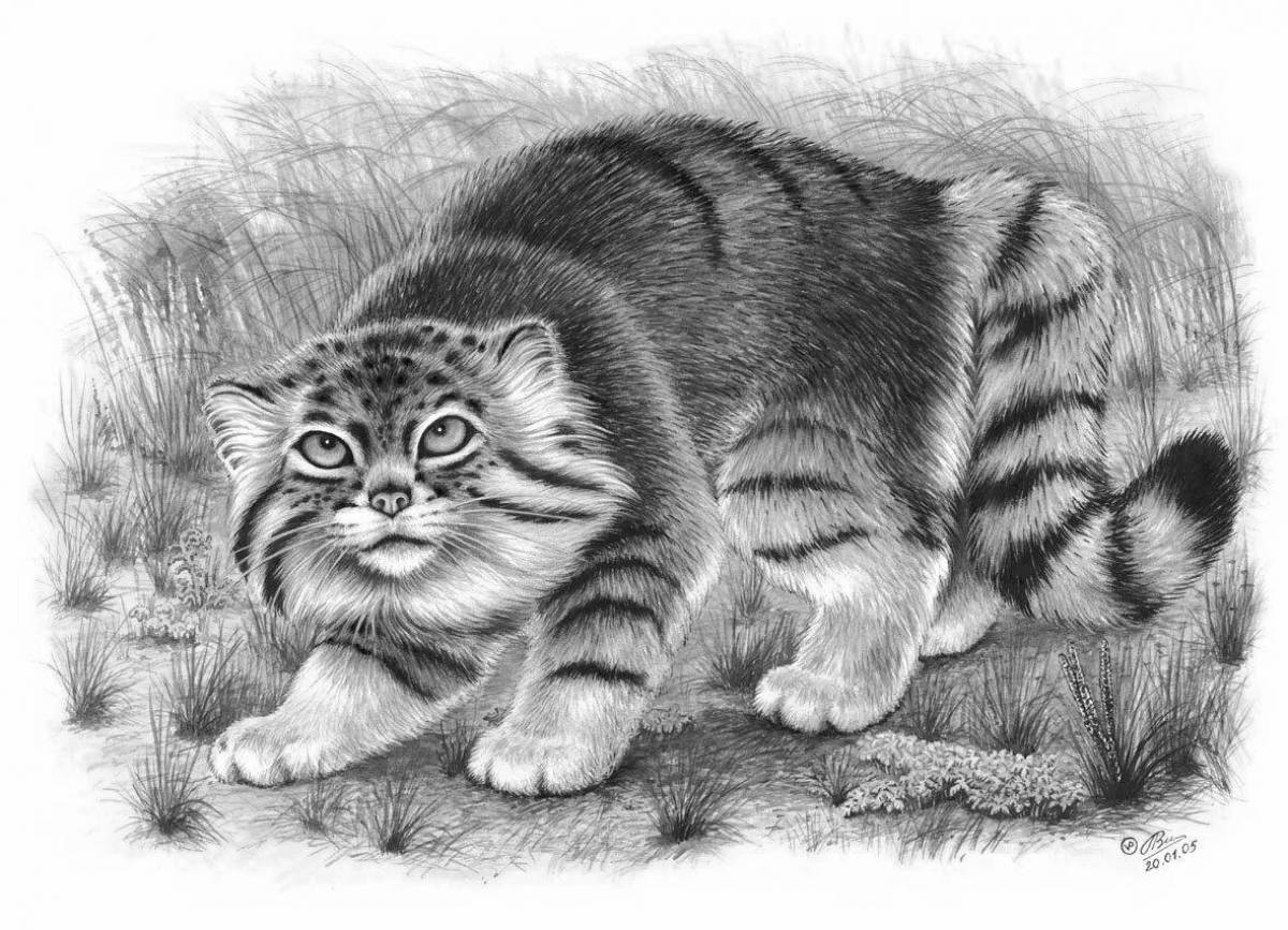 Adorable Caucasian forest cat coloring page