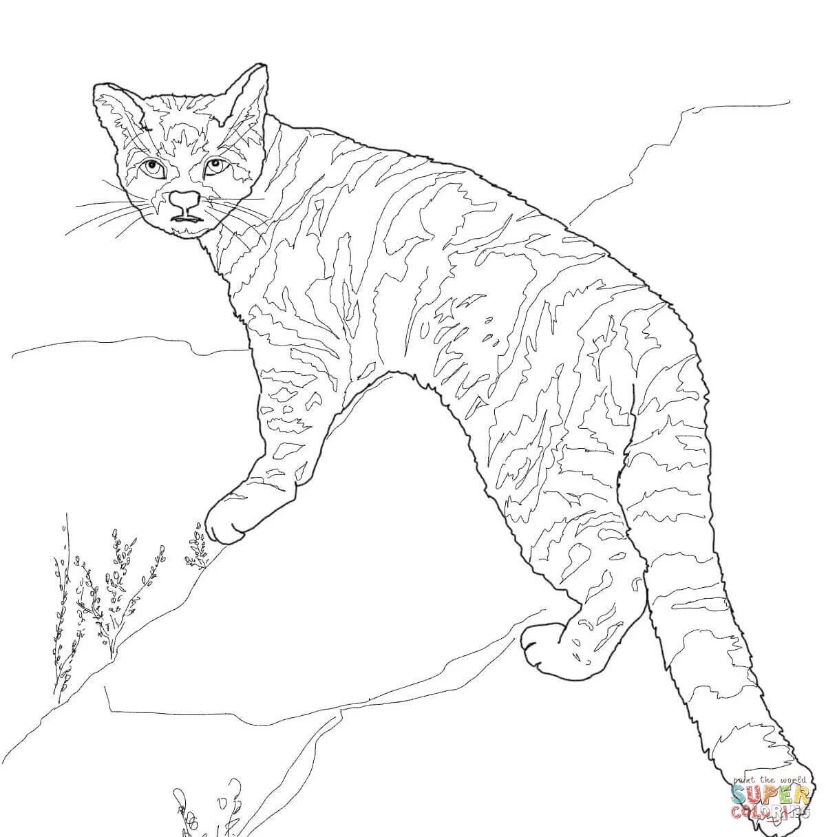 Кавказский лесной кот #9