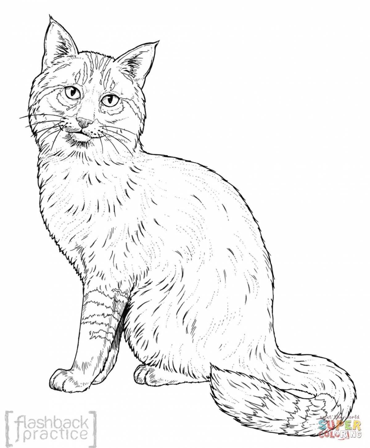 Кавказский лесной кот #12