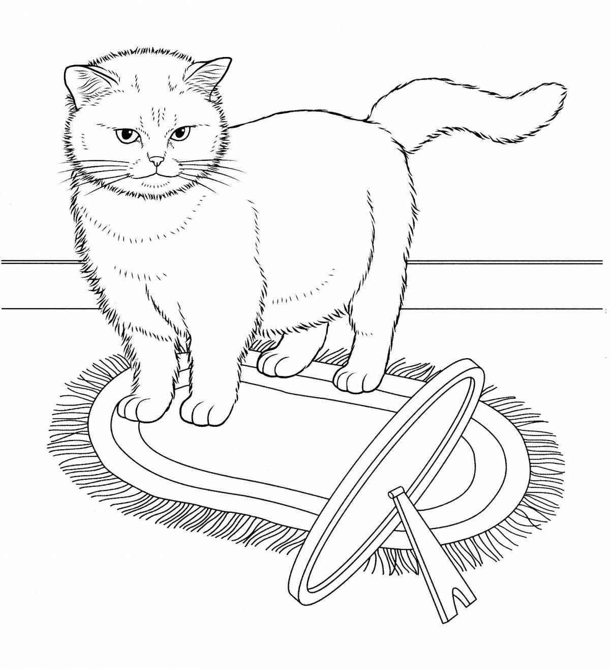 Раскраска игривая британская короткошерстная кошка