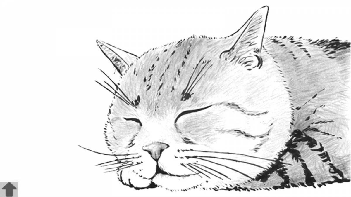 Adorable British shorthair cat coloring page