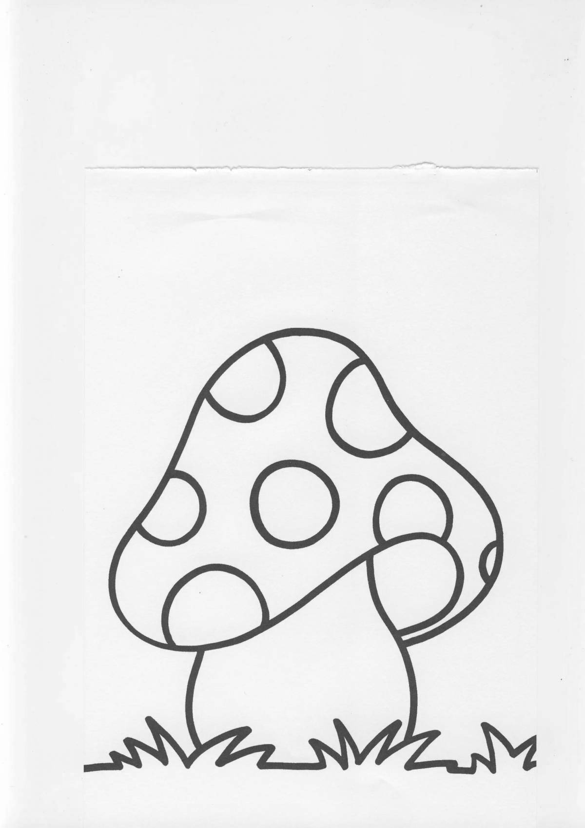 Bright coloring fly agaric for children