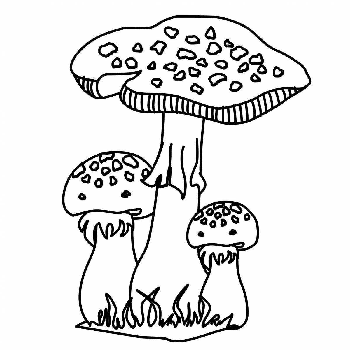 Gorgeous fly agaric coloring book for kids