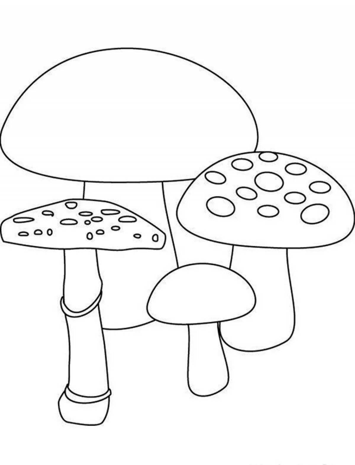 Fantastic coloring book fly agaric for kids