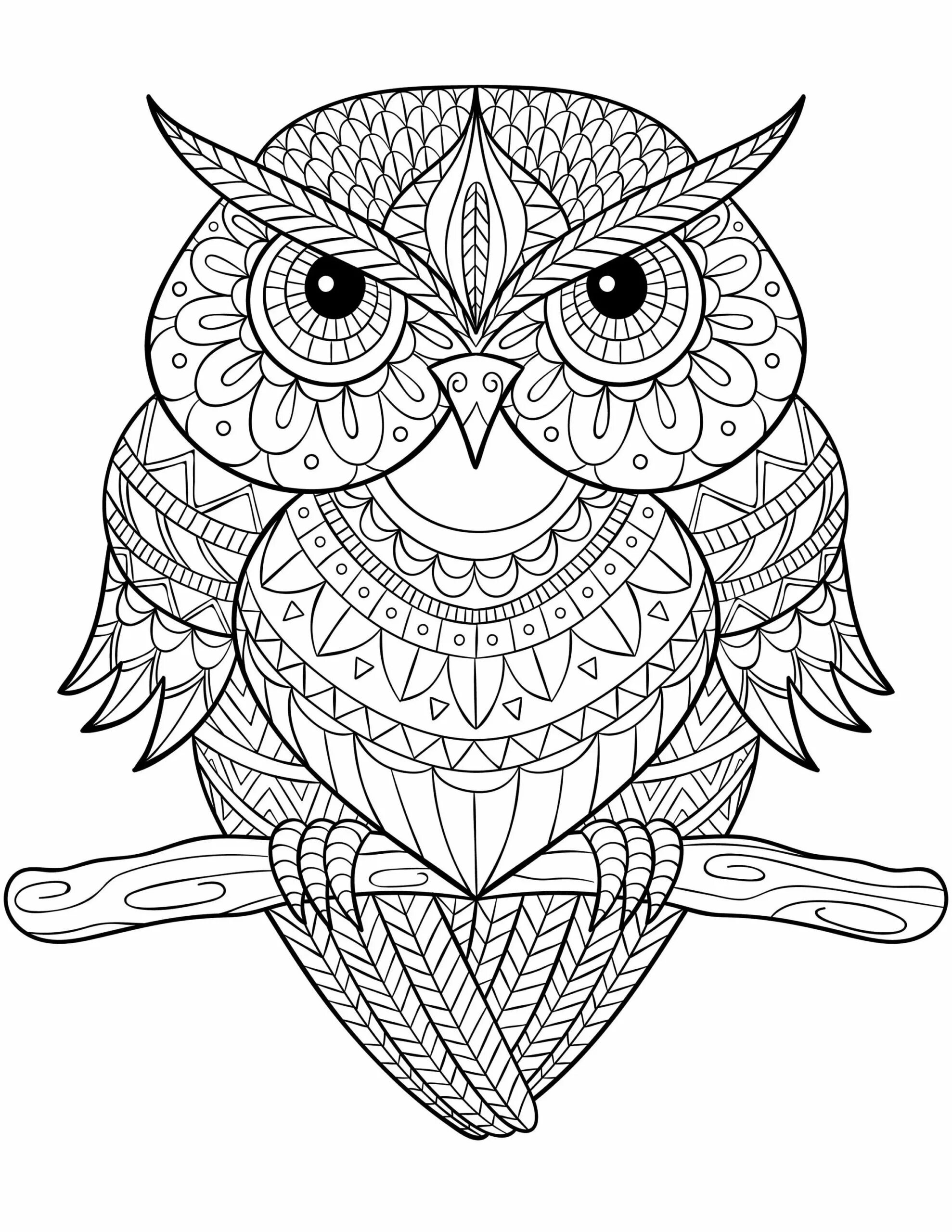 Delicate anti-stress light large coloring book