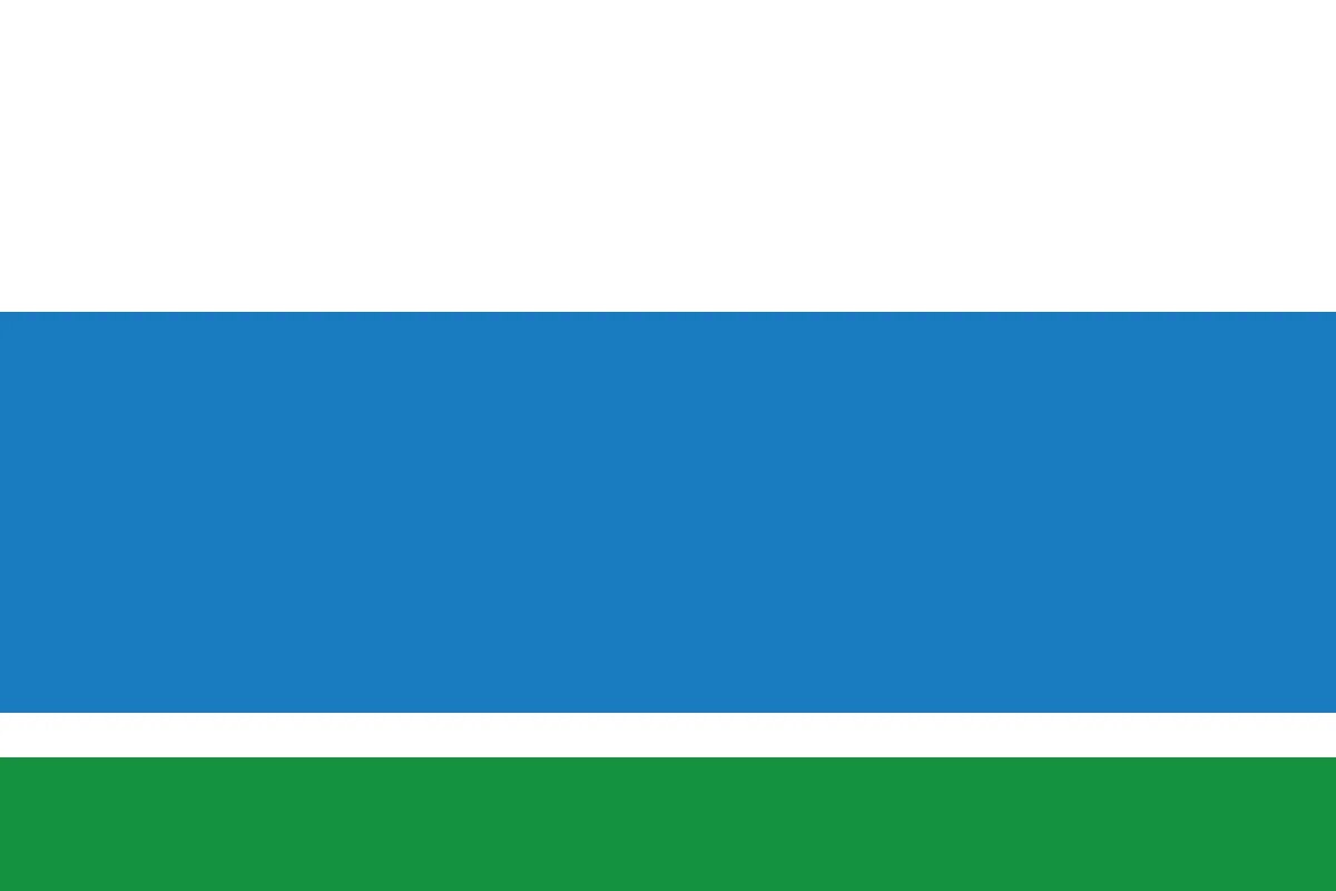 Sverdlovsk region flag #8