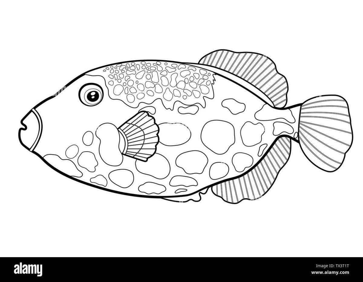 Заманчивый рисунок рыбы-клоуна
