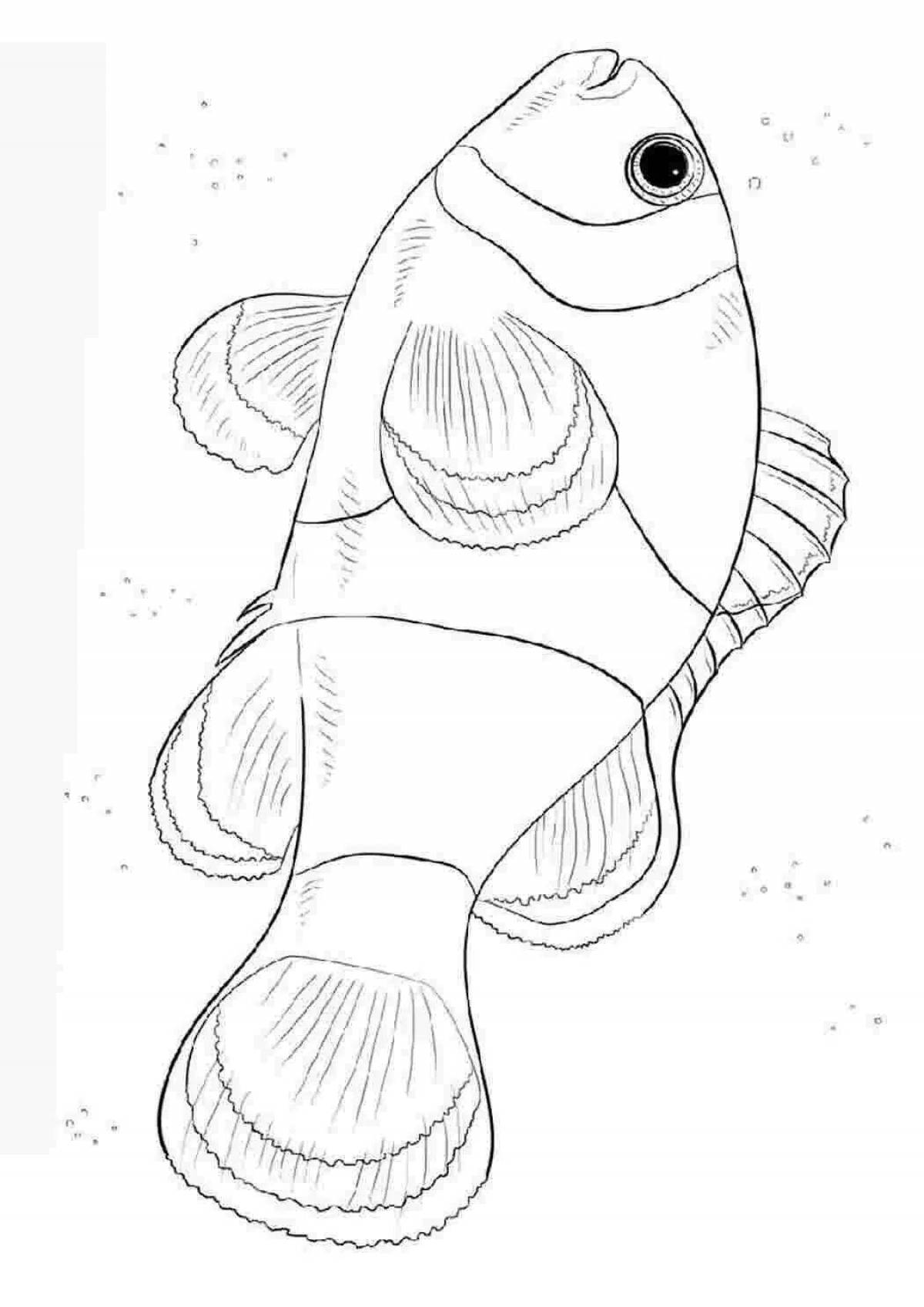 Large drawing of a clown fish